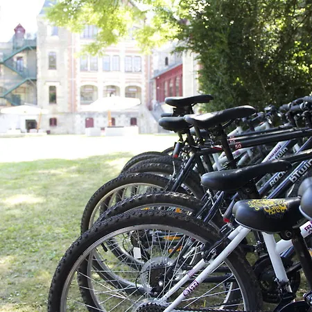 Hotel Chateau De Beguin Lurcy-Lévis