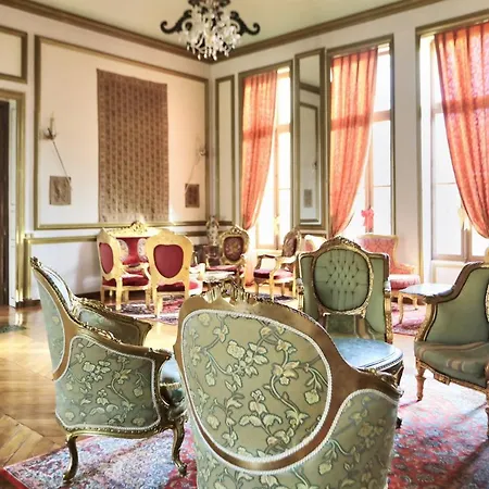 Hotel Château De Béguin Lurcy-Lévis