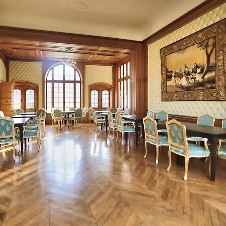 Chateau De Beguin מלון Lurcy-Lévis