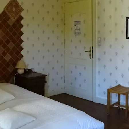 Отель Chateau De Beguin Lurcy-Levis