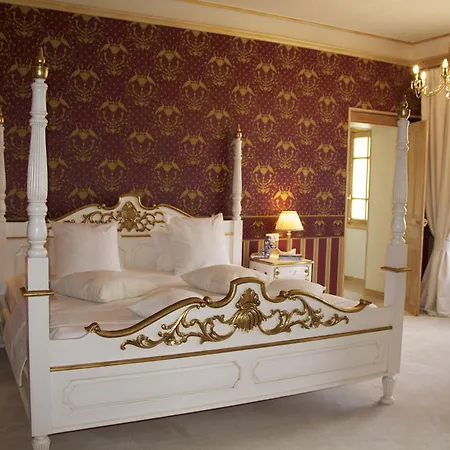 Hotel Château De Béguin 3*